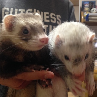 締め切らせていただきました