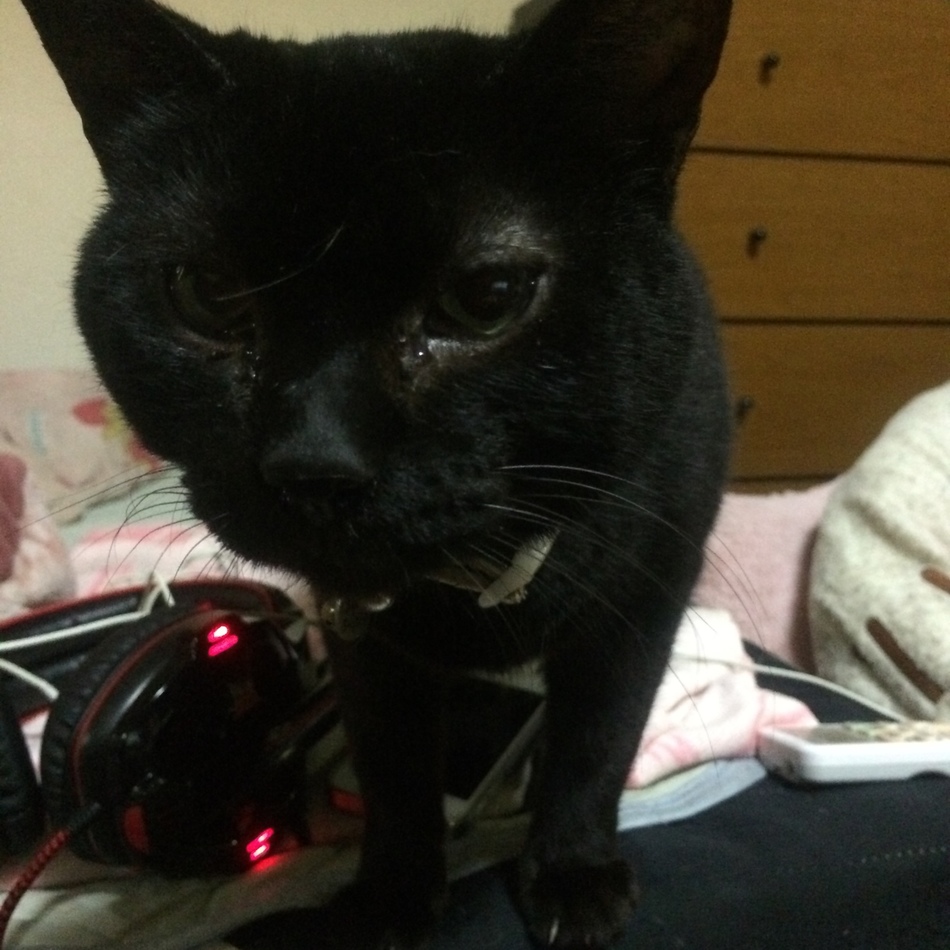 ひめのカバー写真