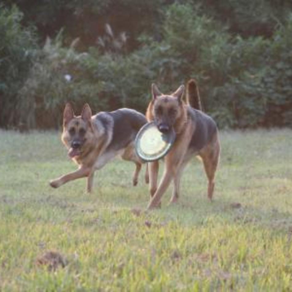 ライのカバー写真