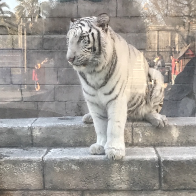 けんたろすのカバー写真