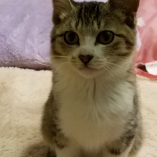 ハンサム❤しげる君