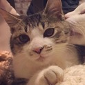 俺を甘えさせてくれ！　ハリー