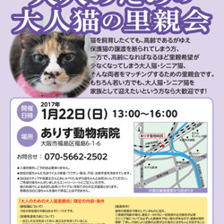 大人のための大人猫の里親会 サムネイル1