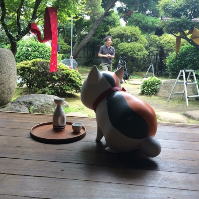 猫旅人のカバー写真