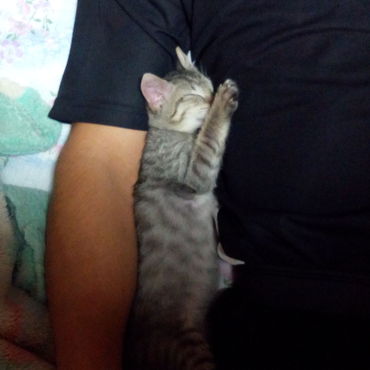 お父さんを(♡・ω<))-ω-)むぎゅー