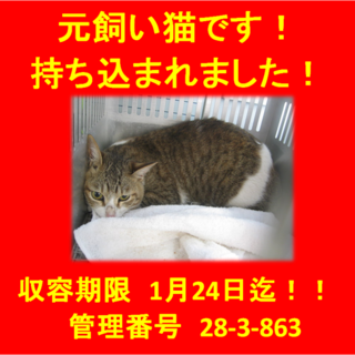 里親決定！(*´▽｀*)