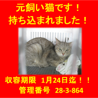 里親決定！(*´▽｀*)