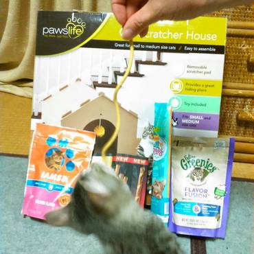 アメリカからのお土産！