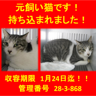 里親決定しました☆(*^-^*)