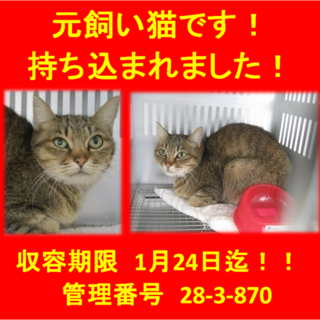 里親決定！！家族ができました(*´▽｀*)