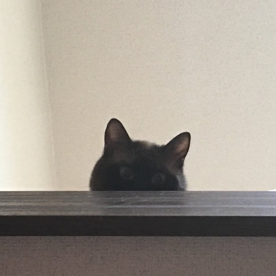 Takuyaのカバー写真