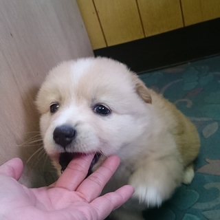 可愛い姉妹です①