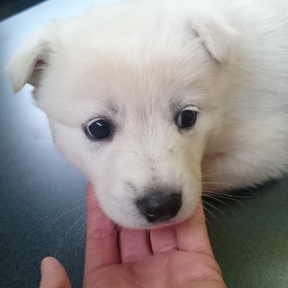 可愛い姉妹です②