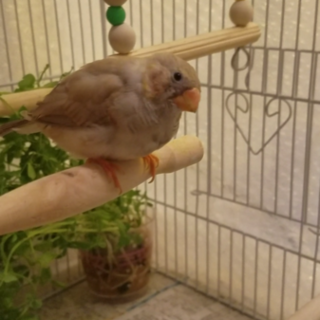 無事に決まりました。ありがとうございました。