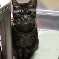 うゆ
