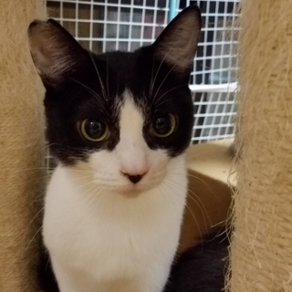 美しすぎる月美ちゃん