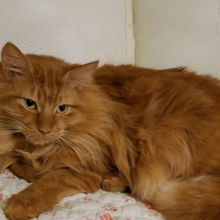 ごはん☆すすむ君