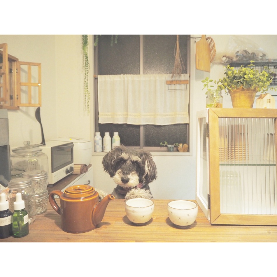 もずくのカバー写真