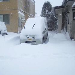 「鳥が来ないからさびしいうにちゃん」サムネイル1