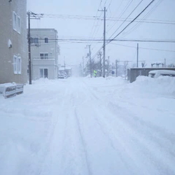 「鳥が来ないからさびしいうにちゃん」サムネイル2