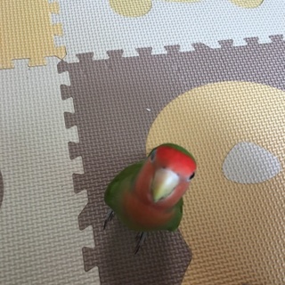 対応しきれず申し訳ありません。