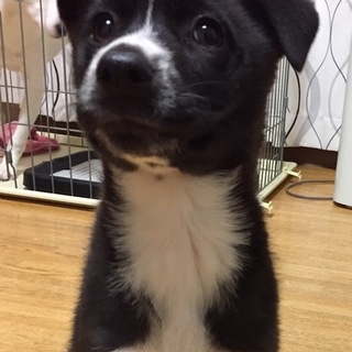 ありがとうございます。ふゆと君2ヶ月