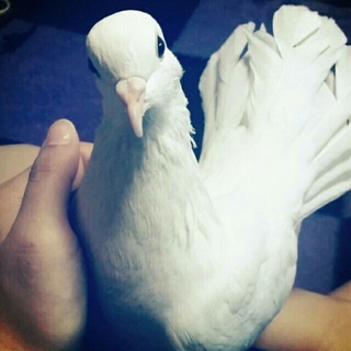 沢山の方々ありがとうございました✨