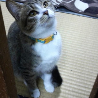 ノンタンで～す(^^♪