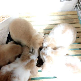 連絡してくださった皆様、ありがとうございました。