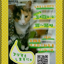 にゃんこ譲渡会@nekoyado!!vol.3