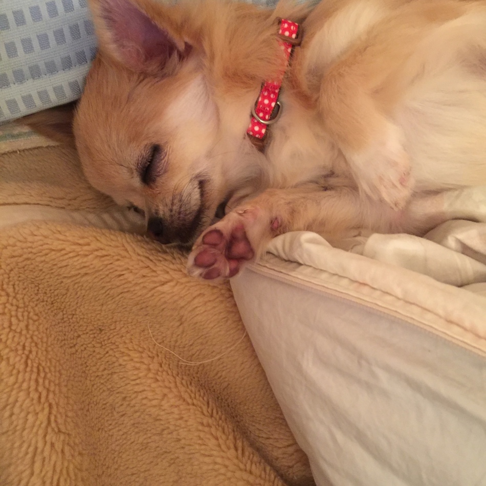 そらみのカバー写真