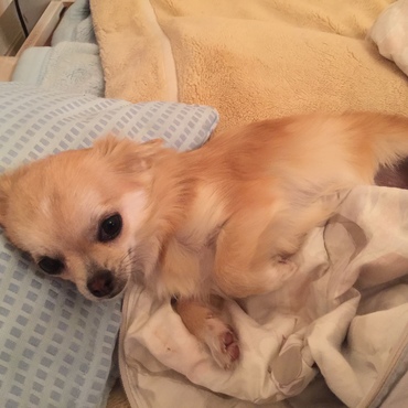 出会い、初めての夜。めい子・しえりと一緒に過ごす(^^)