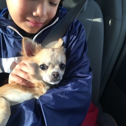 出逢い家族になる！