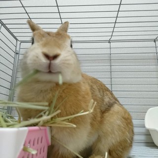 幸せにしてくれる方募集☆