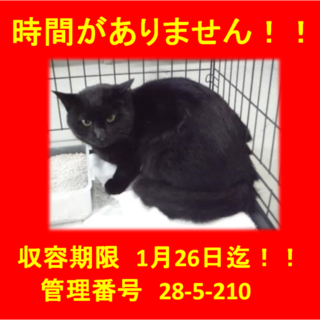 里親決定！！家族ができました(*´▽｀*)