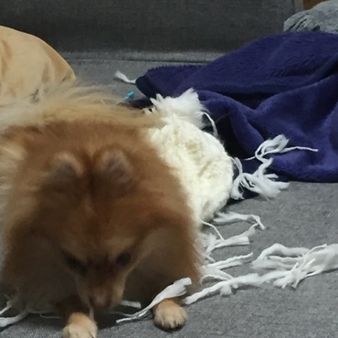 イタズラばっかり