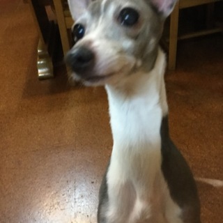 沢山のご応募ありがとうございました