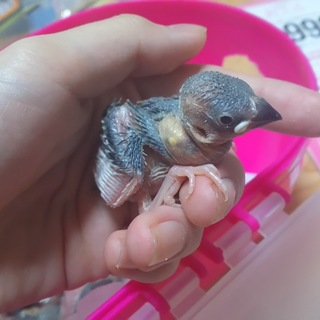 ありがとうございましたm(_ _)m