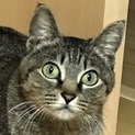 ２２日の愛護センターの里親会に参加します