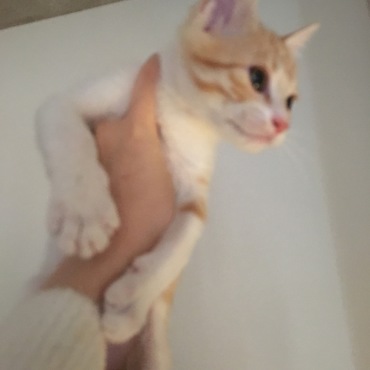 10月くらいのみなかたです。まだ手に収まってました