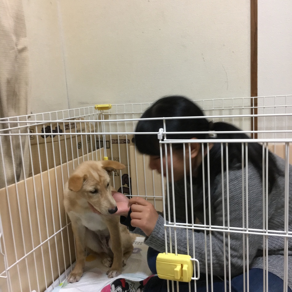 クリームのカバー写真