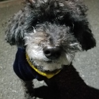 アイシー