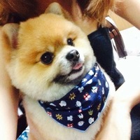 まりも
