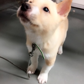 トライアルに出ています！