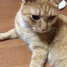  さん