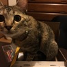 とにかく箱が好き