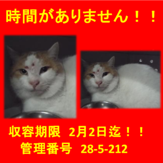 里親決定！！家族ができました(*´▽｀*)