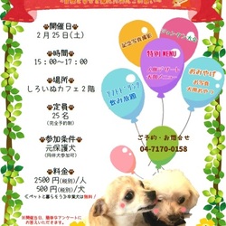 元保護犬交流会