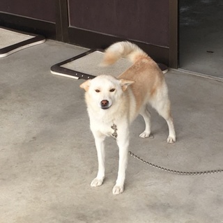 元気な2歳 メス