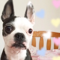 ココナ